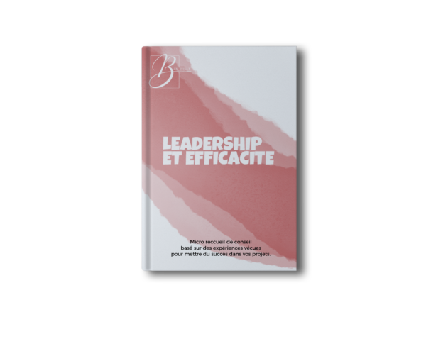 LEADERSHIP ET EFFICACITE