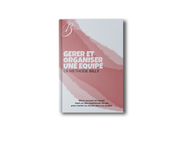 Gerer et organiser une equipe